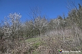 VBS_8863- Risvegli